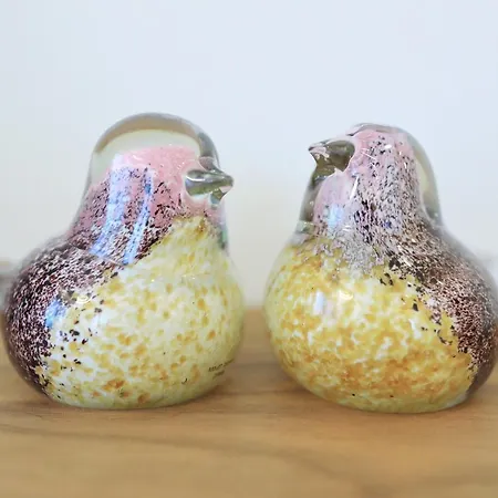 Luxury 4* Ζαντάρ