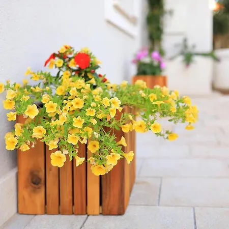 Manda Luxury Hotel apartamentowy Zadar